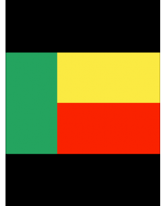 Benin 3' x 5' - 200D High Tenacity Nylon 