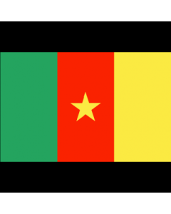 Cameroon 3' x 5' - 200D High Tenacity Nylon 