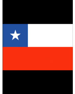 Chile 3' x 5' - 200D High Tenacity Nylon 