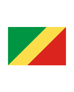Congo 3' x 5' - 200D High Tenacity Nylon 