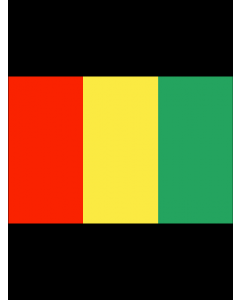 Guinea Flag 3' x 5' - 200D High Tenacity Nylon 
