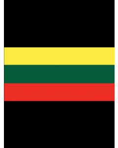 Lithuania Flag 3' x 5' - 200D High Tenacity Nylon 