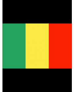 Mali Flag 3' x 5' - 200D High Tenacity Nylon 