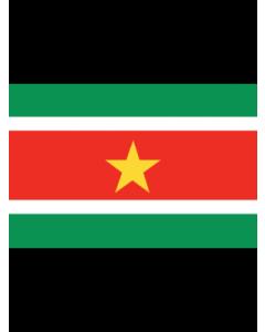 Suriname 3' x 5' - 200D High Tenacity Nylon 