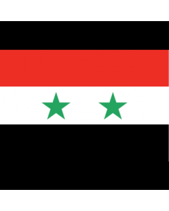 Syria 3' x 5' - 200D High Tenacity Nylon 