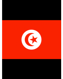 Tunisia 3' x 5' - 200D High Tenacity Nylon 