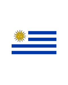 Uruguay 3' x 5' - 200D High Tenacity Nylon 