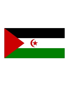 Western Sahara 3' x 5' - 200D High Tenacity Nylon 